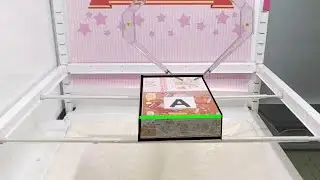Toreba Rectangle way winning | Toreba Skills | Playing Process