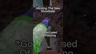 Abusing The Snowballs *Got Accused Of Cheating #gorillatag #funny #gorillatagglitch #lionking #viral