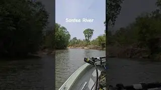 Riding the Santee River! #shorts