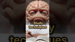 Study techniques for students | Study tips | Toppers Mindset | Padhai tips hindi | Padhai ka tareeka