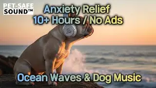 10h Ocean Waves for Dogs | Settle Faster &middot; Steady Breathing | Pet Safe
