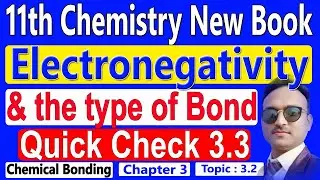 Electronegativity & Type of Bond | Class 11 Chemistry &ndash;Chemical Bonding | Quick Check 3.3