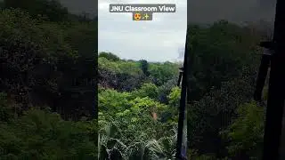 The Beauty Of JNU ✨😍 | Jawaharlal Nehru University New Delhi #jnu #shorts #motivation #youtubeshorts
