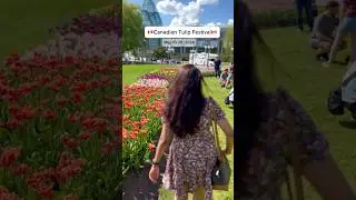 Canadian Tulip Festival | Commissioners Park | Ottawa, Canada | ExplorewithReshma