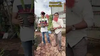 Best Plant Nursery in Nanded. .