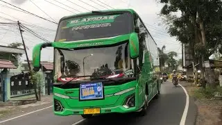 Jogja dituju || Kamilah78Trans &ldquo;Elapidae&rdquo;