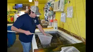 Hooked Up by the Bay: Mobile's Last Standing Bait-Shop on the Causeway