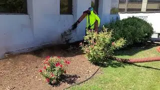 Express Mulching & Soil Blower truck mulch install