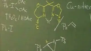 Organic Chemistry: Ylides (P, S, O), Prof. Reiser, Lecture 20