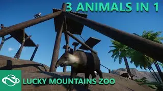 Giant Anteater, Baird Tapirs & White-Face Capuchin Monkey | Planet Zoo | Lucky Mountains Zoo (LMZ) 7