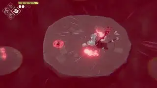 deaths door mini boss fight no damage