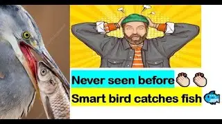 #24 - Smart Bird❤️❤️