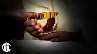 DAILY CATHOLIC MASS 2/2/26 | The Presentation of the Lord and the Gift of Consecrated Life