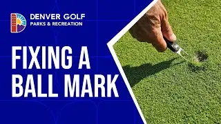 Ball Mark Repair Campaign Video