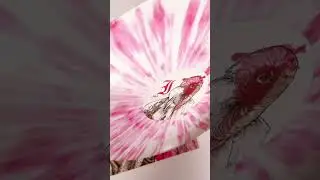 Every Time I Die exclusive vinyl!! #vinyl #vinylrecords #everytimeidie