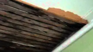 Foreclosure - Inspecting the bathroom of a Typical Home