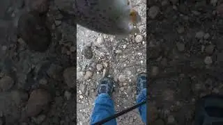 Fast Catch and Release #wanderingidahoan #fishing #trout