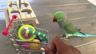 Tommy gets a gift
