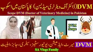 DVM Scope in Pakistan (Doctor of Veterinary Medicine), Universities, Salary, Merit | SA Vlogs Family