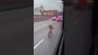 ✅ Поддержка, чек-листы и &ldquo;можно/нельзя&rdquo; &mdash; в Telegram:  