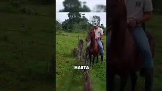 Confianza total