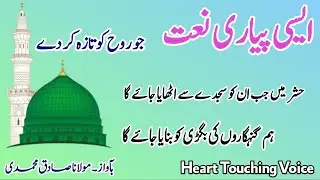 Hashr Mein Jab Unko Sajde Se Uthaya Jayega|حشر میں جب ان کو سجدے سے اٹھایا جائے گا|Molana Sadiq
