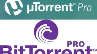 How to download U torrent Pro or BitTorrent Pro for FREE