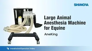 Shinova Veterinary - Installation for Large Animal Anesthesia Machine for Equine(AneKing)
