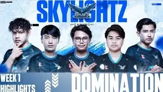 Skylights gaming Domination pmpl first week🔥#skylightgaming#pmpl #nepal