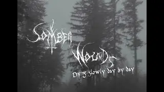 Somber Wounds-Dying Slowly Day By Day (Official Music Video) ( Depressive Black Metal Turkey )