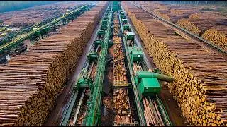 How 1.5 Million Cords of Wood Fuel Are Made Daily &ndash; Full Documentary on World of Logging & Forestry