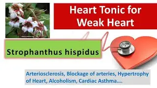 Tonic for Weak Heart | Block arteries | Cardiac Asthma | Strophanthus स्ट्रोफैंथस