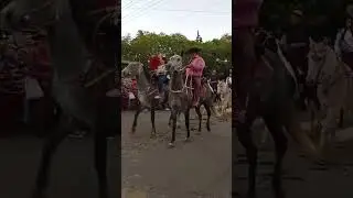 Desfile Patronales Ca&aacute; Cat&iacute;!! #caballos #campoargentino