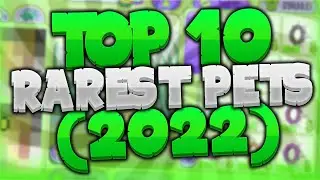 Top 10 Rarest Pets in Animal Jam - In Depth (2022)