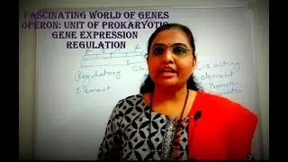 Operon,Cis Acting Element and Trans Acting Product Concept : Prokaryotic Gene Expression Regulation