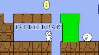 CAT MARIO STAGE 1
