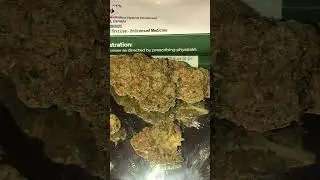 4C Labs Premium PUG T20 Puffo Gelato Medical Cannabis Flower