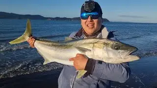 Relaxing Evening turns EPIC (NZ Surfcasting for BIG Fish)