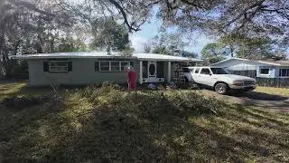how to trim a oak tree in the sunshine state