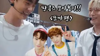 [아스트로/astro] 딴콩즈 케미 모아보기!(또까편)