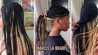 NARCISSA BOX BRAIDS | TWO COLOURS BRAIDS | Expression Colour 1 & 613 | Tutorial + How to hide hair