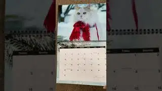 2021 Louie Wall Calendar Now Available
