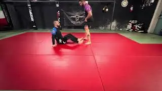 Budokon mobility patterns