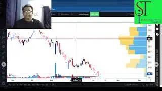 DSEx Index , Saport ,Summit Power, SPCL, BDCOM, Crystal Insurance Update 11 10 24