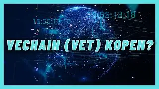 VECHAIN (VET) KOPEN: De Toekomst & Mijn Verwachtingen van VeChain!