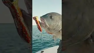 EPIC GIANT TREVALLY Fishing! | Testing GT tackle at a remote coral reef (Nomad Odyssey - Episode 3)