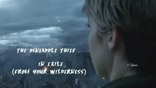 The Pineapple Thief   -  In Exile