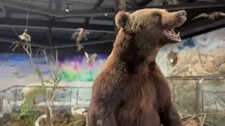 Юрибей, эко-парк. Тюмень. Часть 1.