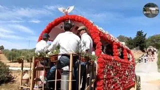 2015-09-13 ROMERÍA DEL CRISTO DEL ROMERAL ARCOS DE LA FRONTERA