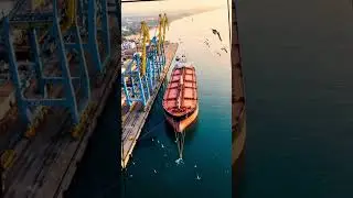 How Crude Oil Travels from Russia to India | The Ocean Route of Energy #howitsmade #trending